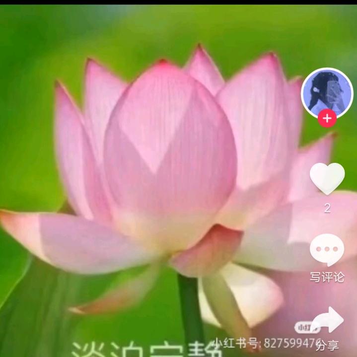 美好的回忆。