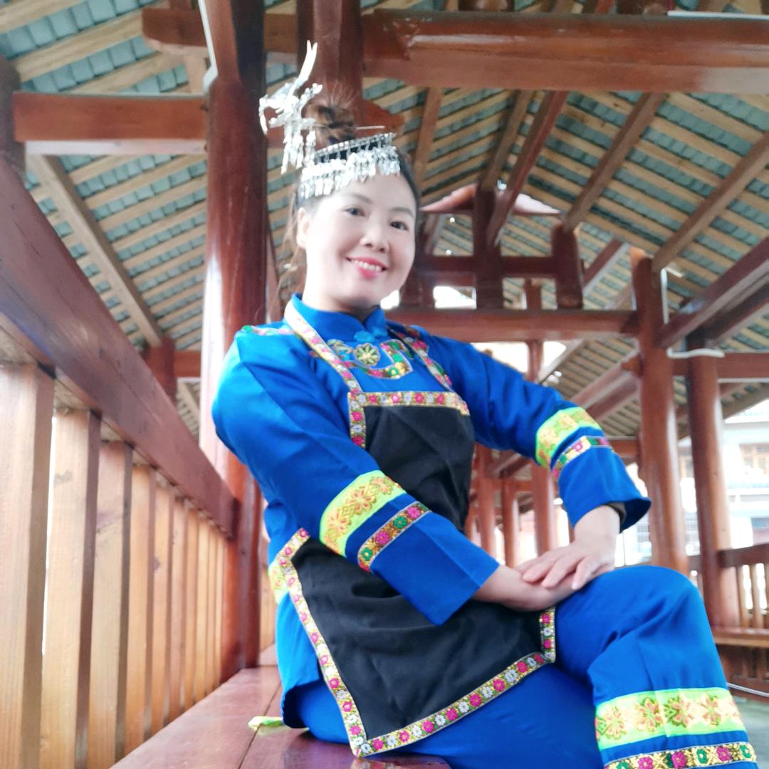 苗寨燕子