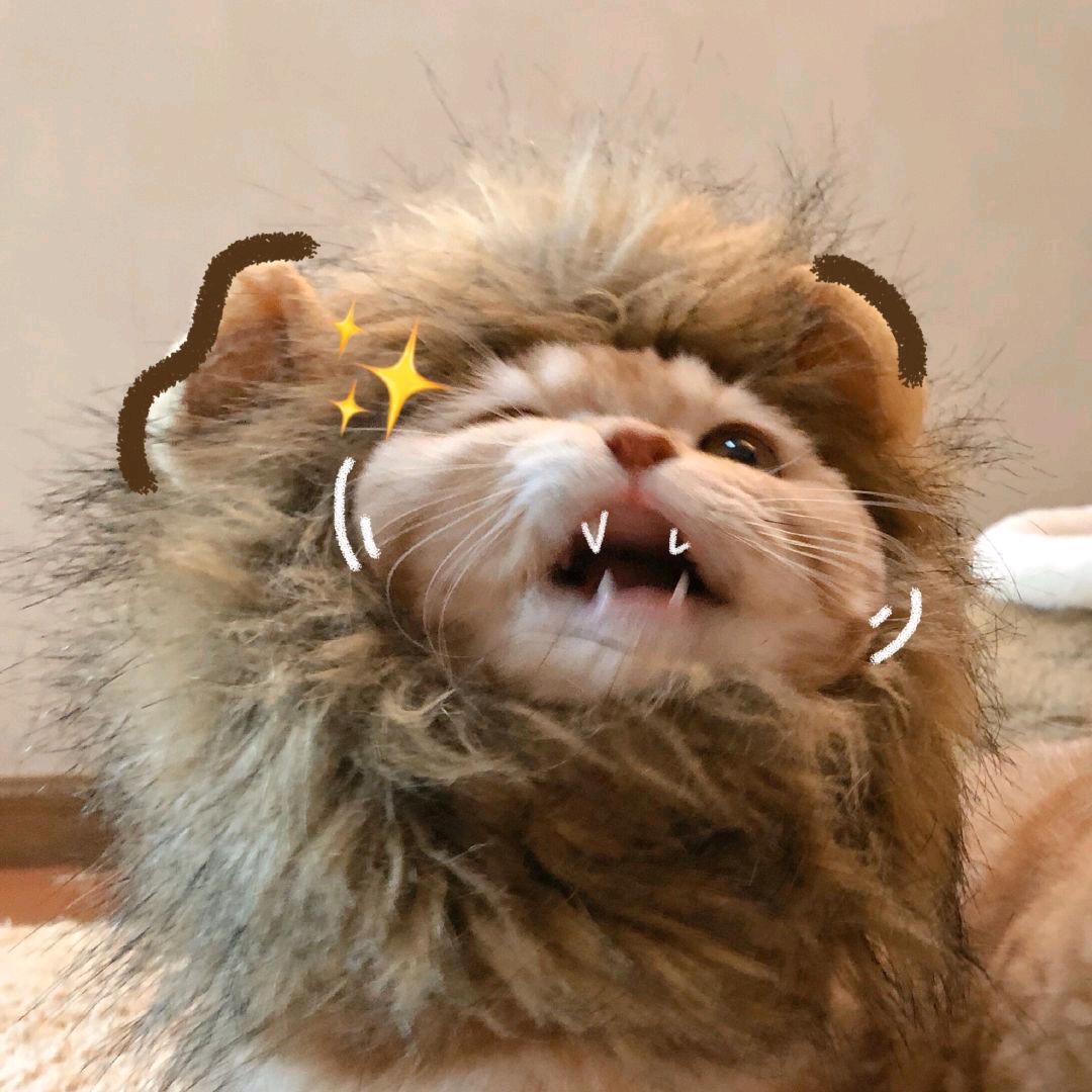 瓜瓜（看过蔡依林演唱会版）