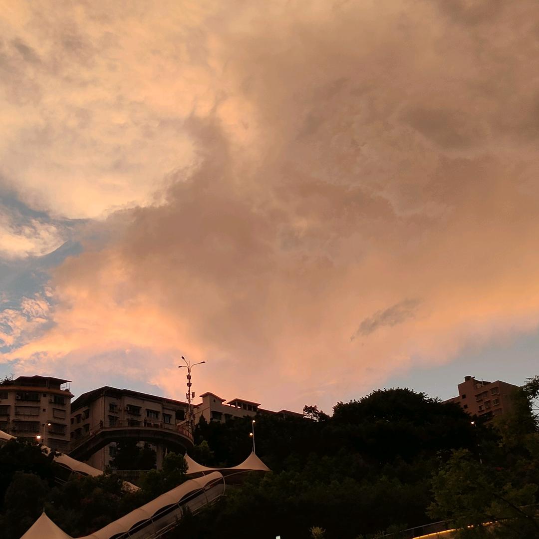 踽头像