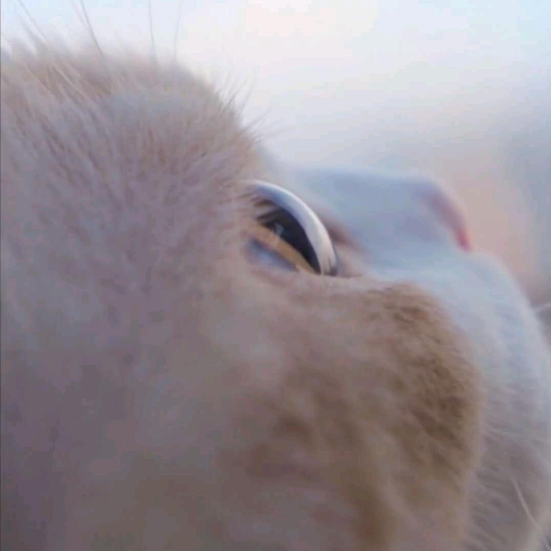 悠然若梦
