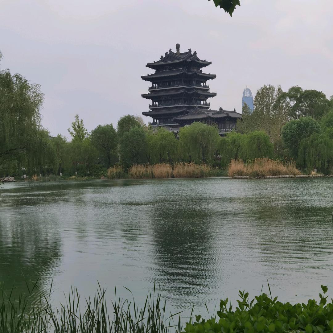 魑魅魉魑魅