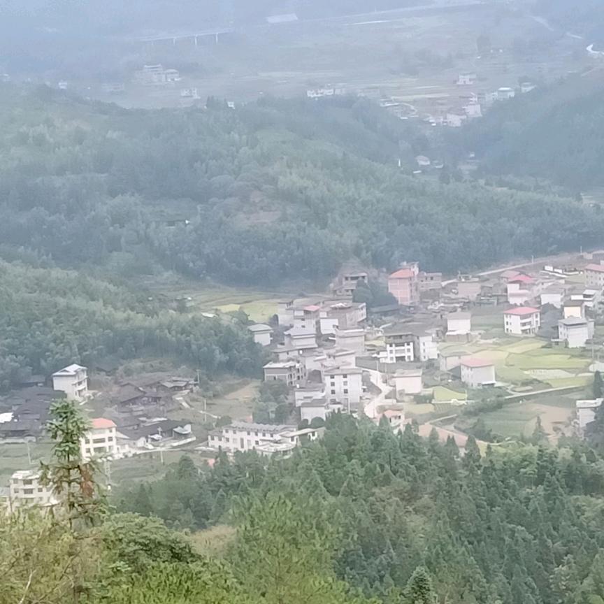 灵性、境（依依不舍）