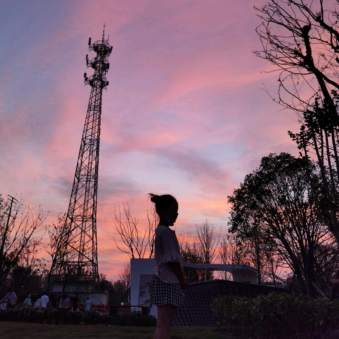 挣钱养小猪㊙️