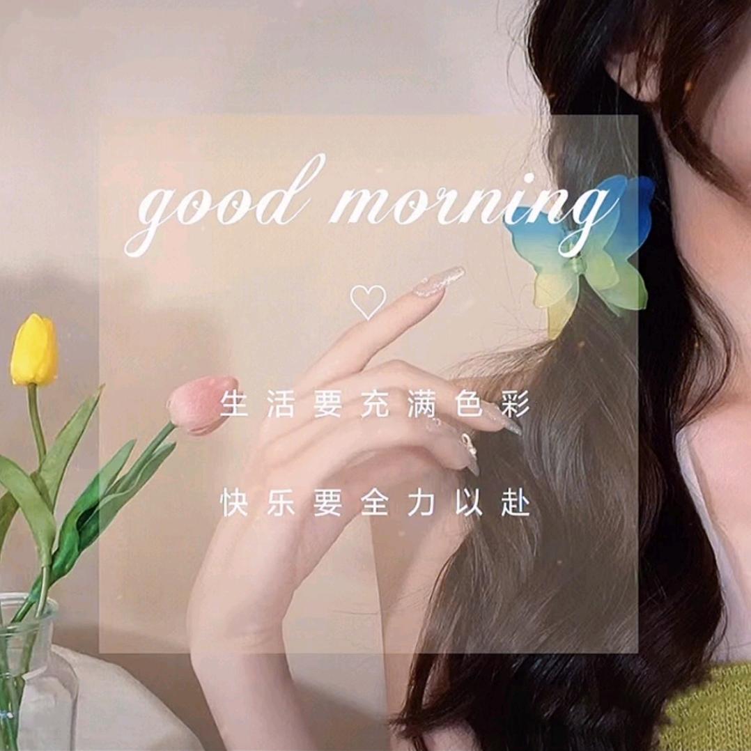 心如莲花