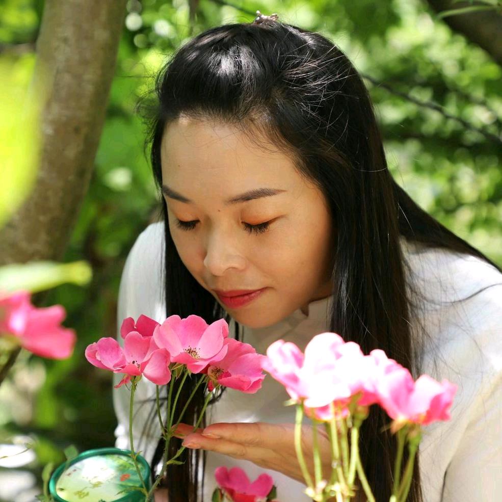 燕子的碧山源