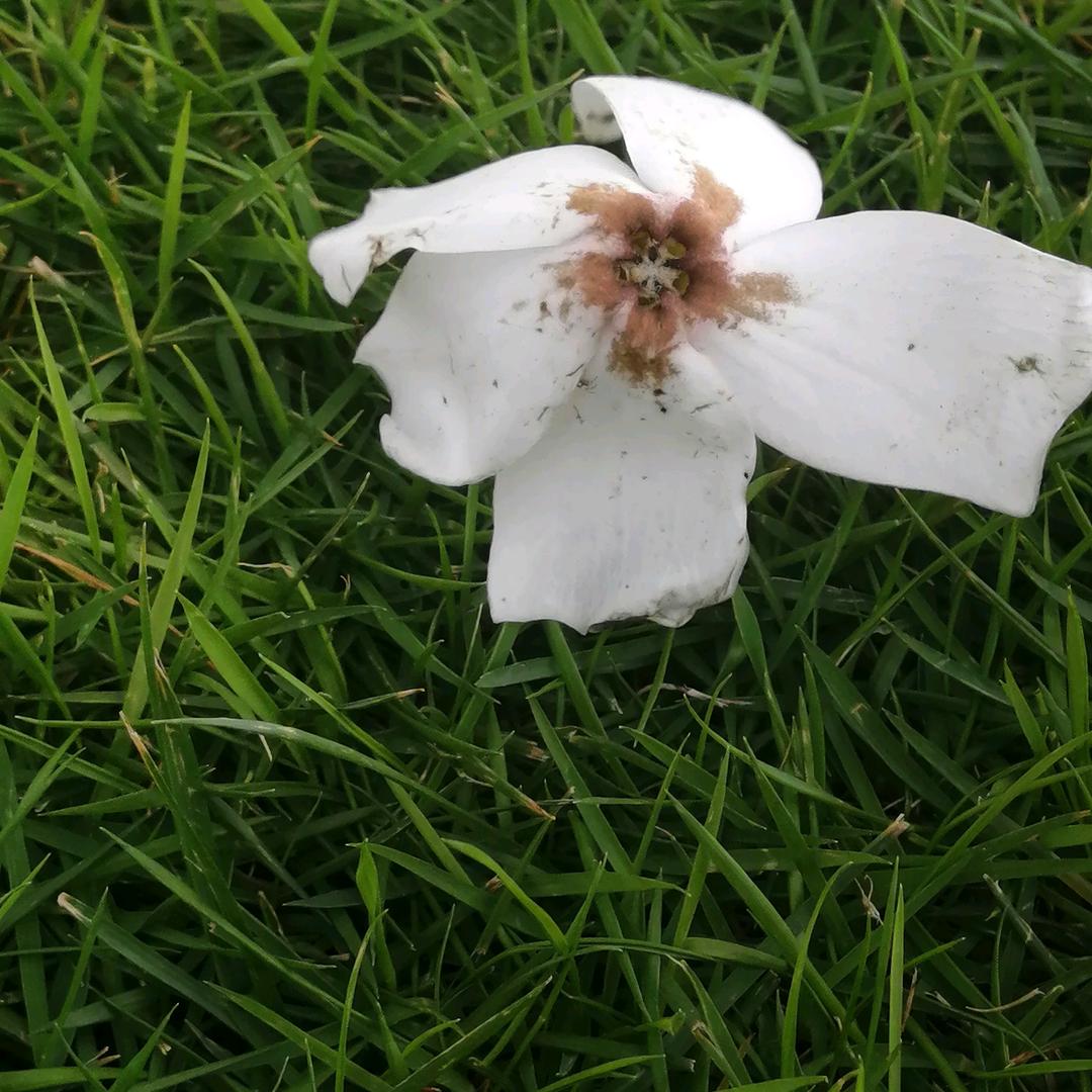 每好的回忆！！！