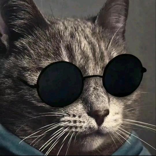 哈哈哥哈哈哈哈