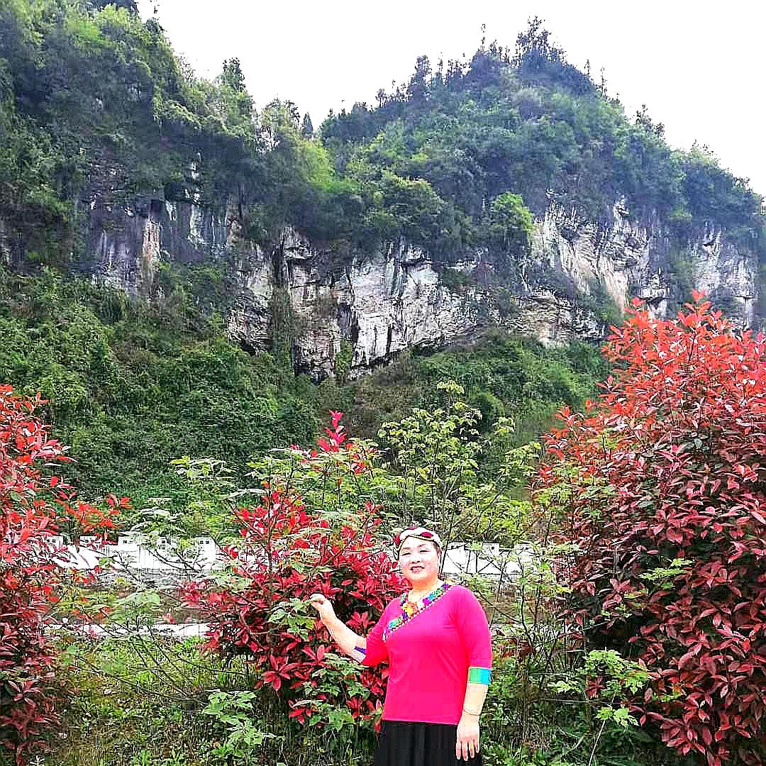 文培凤