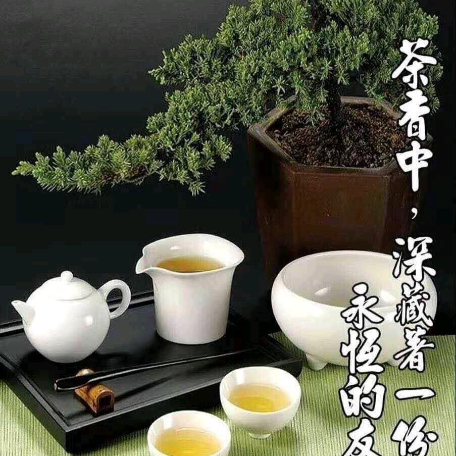 人生何处不相逢