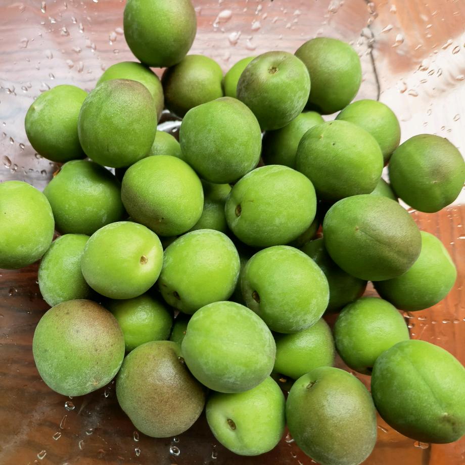 青梅🍐
