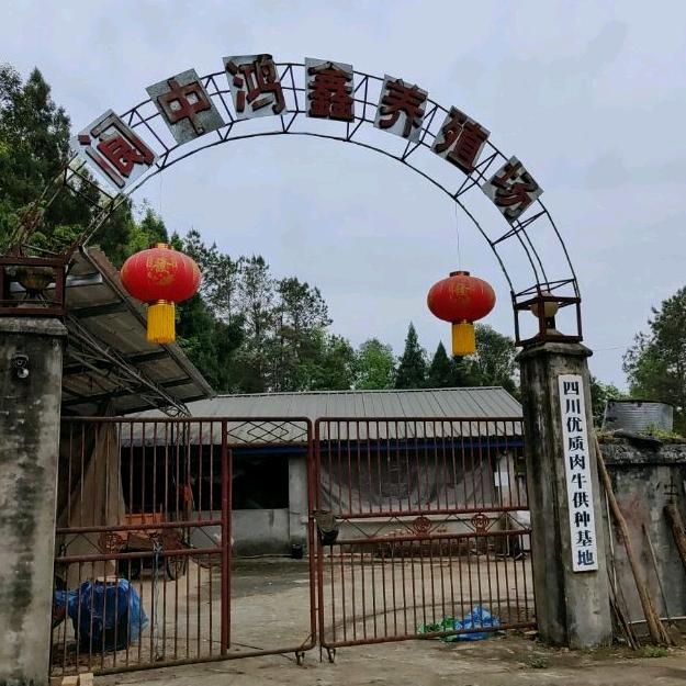 阆中市鸿鑫肉牛养殖场