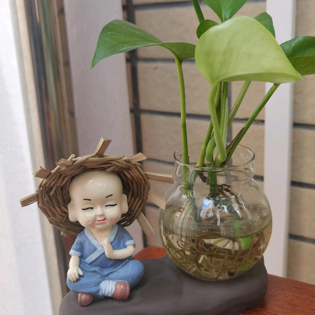 古城五弟