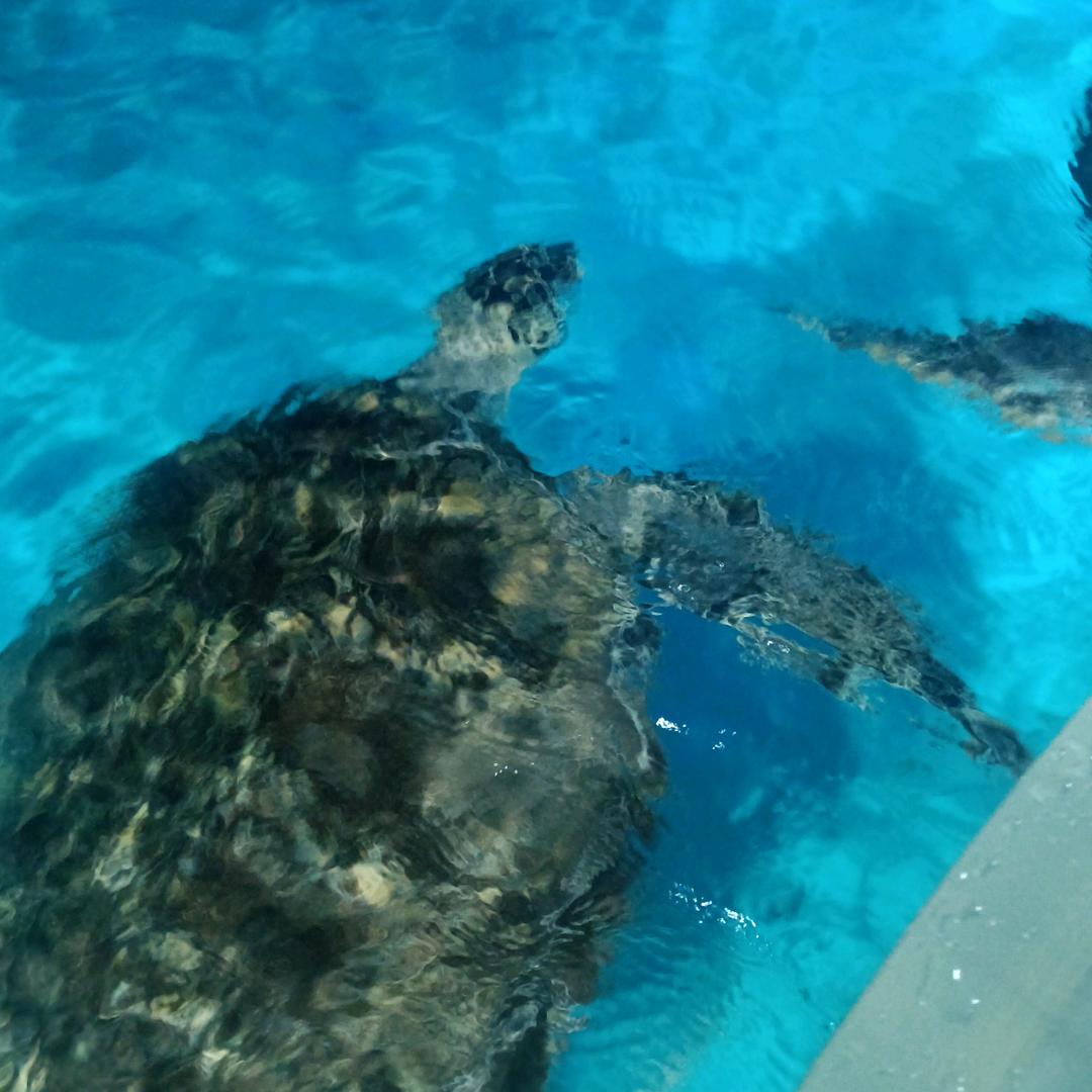 山青相识我们缘分