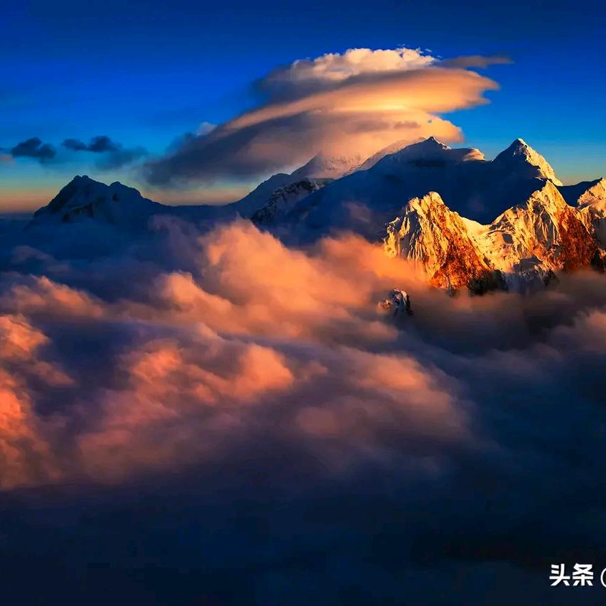 浪迹天涯🫐⁰⁸¹⁵