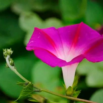 最熟悉的陌生人