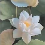 岁月静好🌺