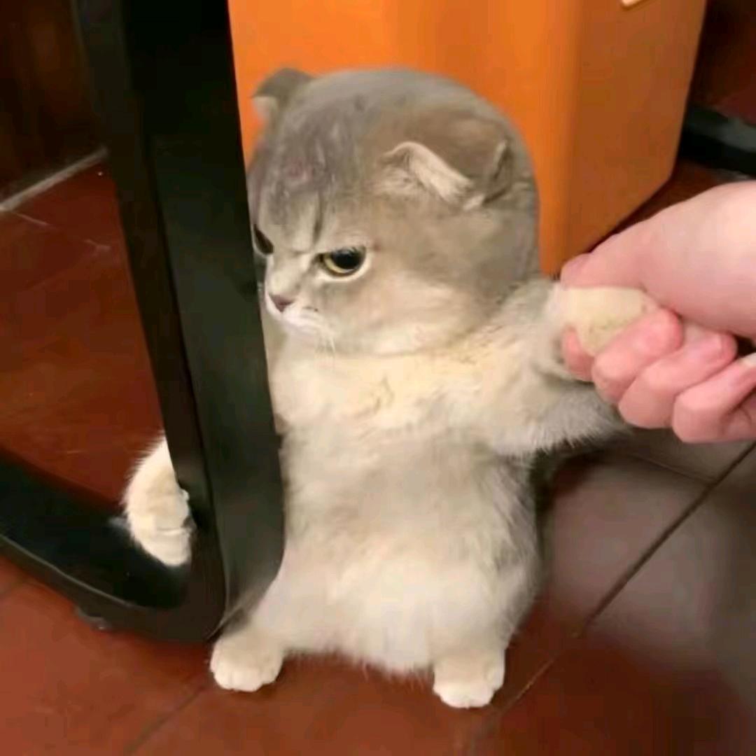 愿～