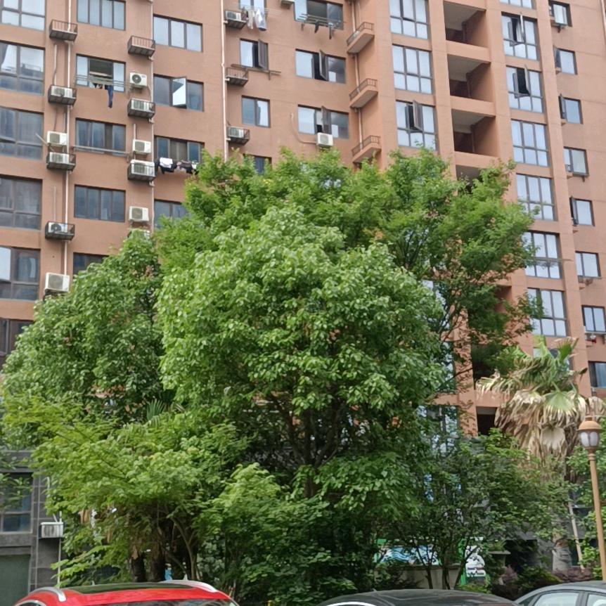 顺发装潢