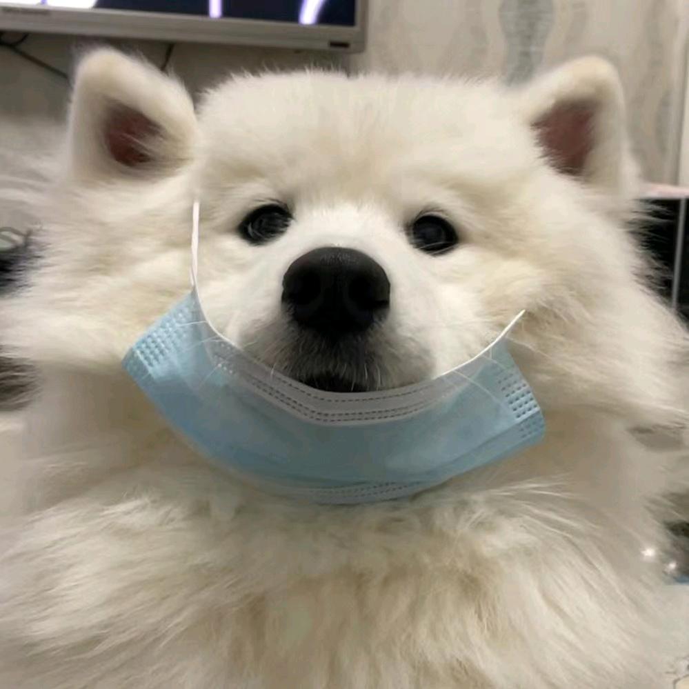 小优优...