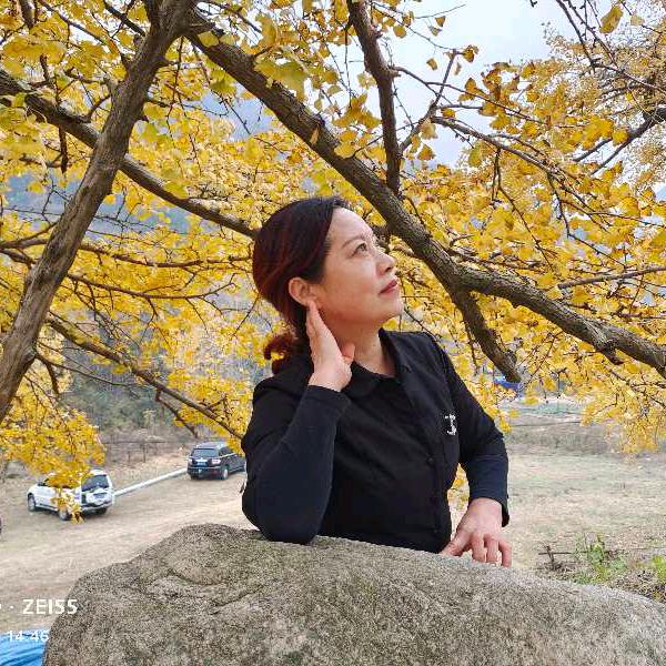 金叶陪你瘦(安陆)