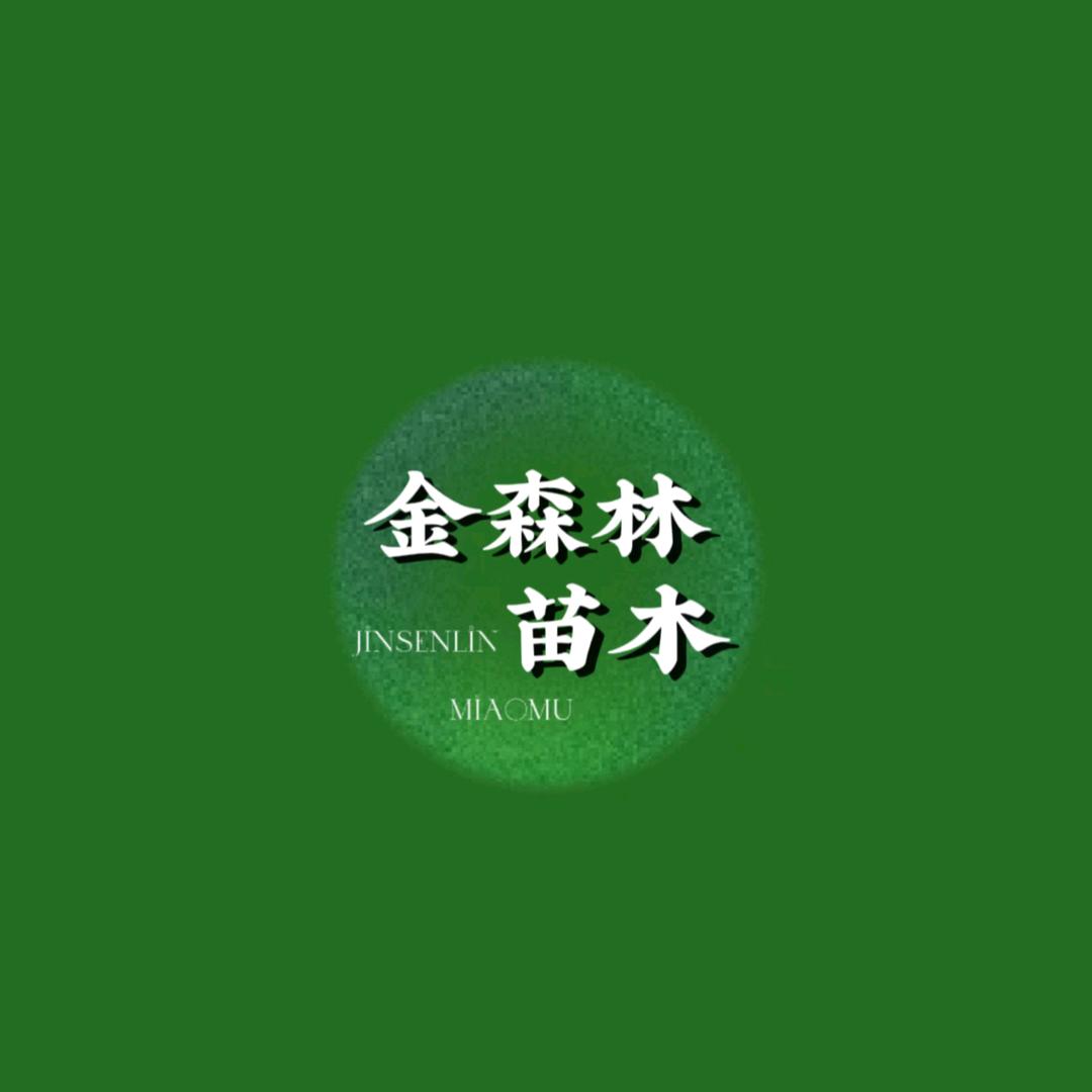 金森林苗木