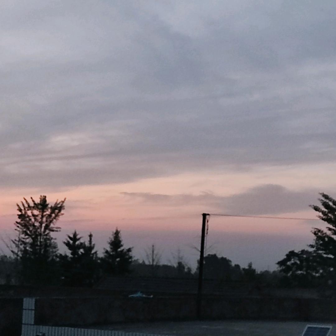 流年似水