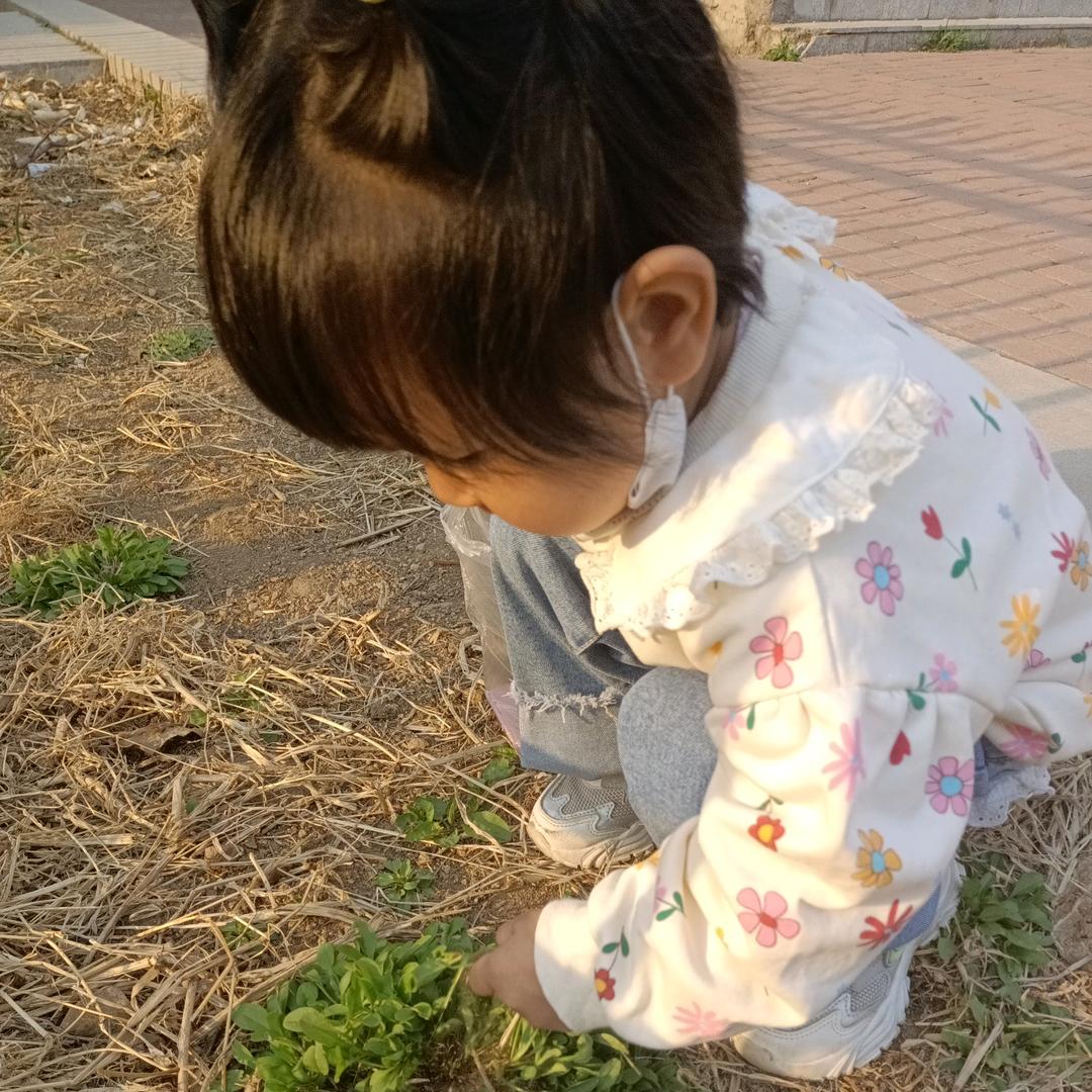 晴晴小公主