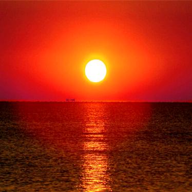 搪瓷釉料、无机颜料-罗工