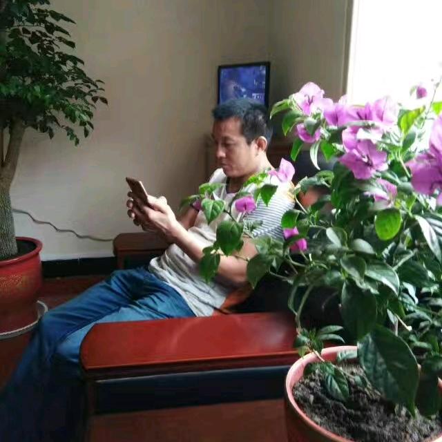 冷酷王子
