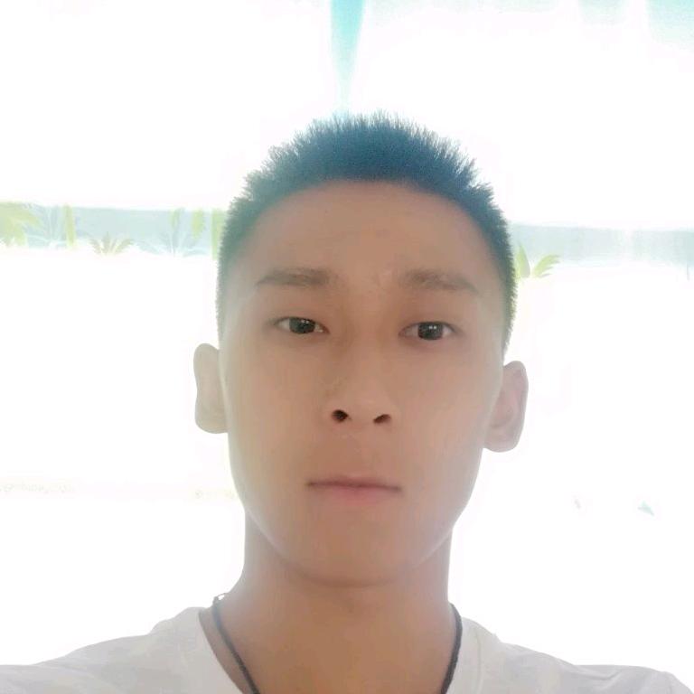 377841595