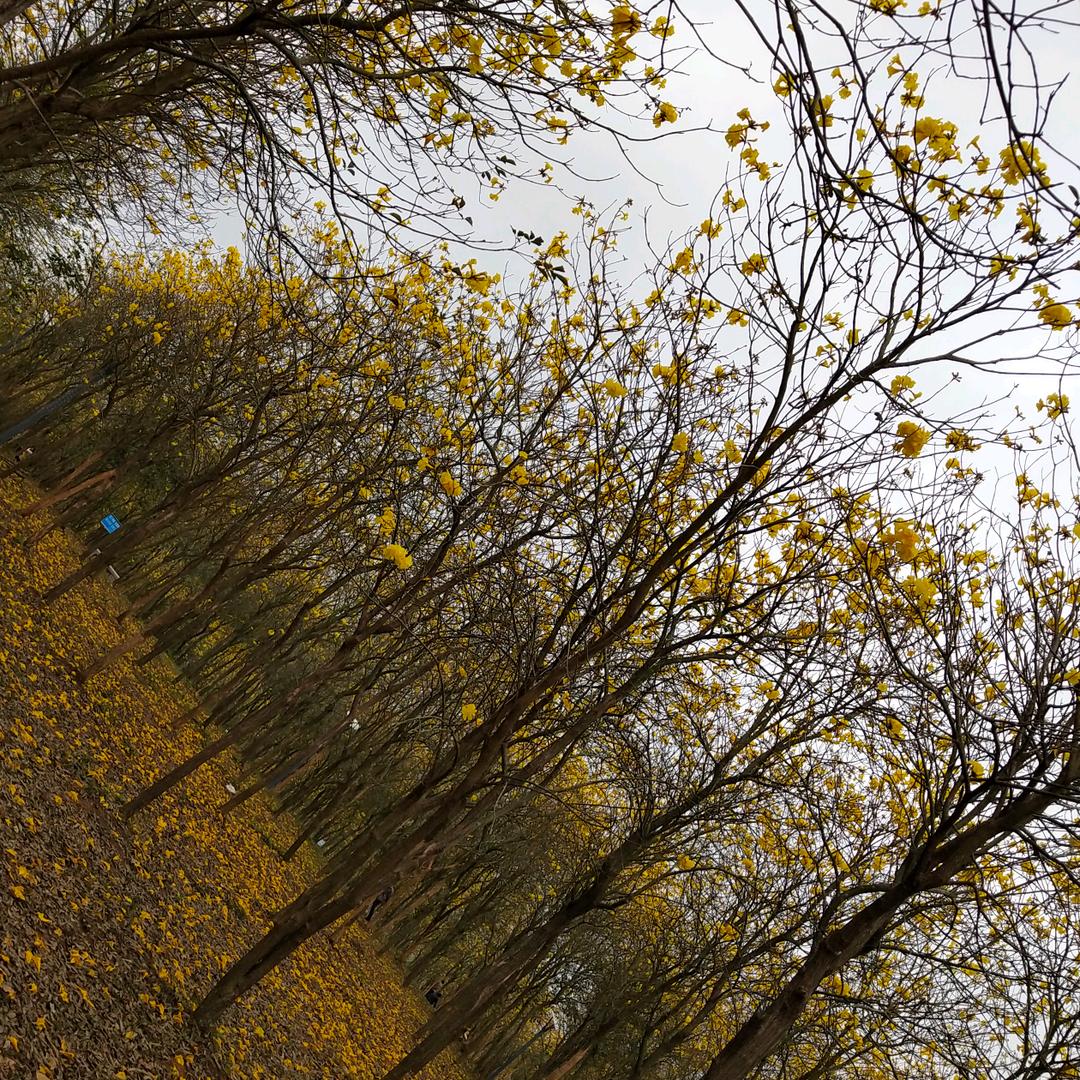 农副产品城市配送