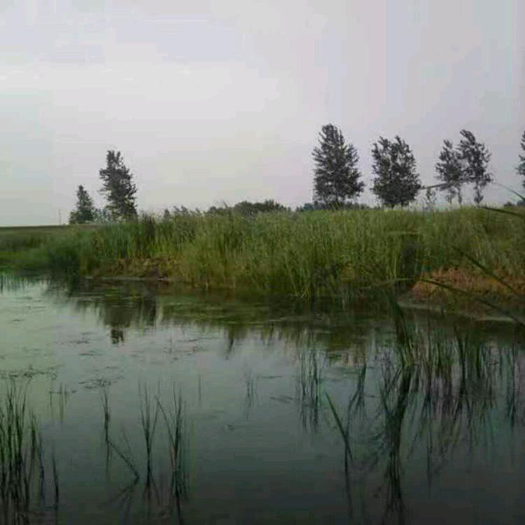 🌴山不转水转🌴