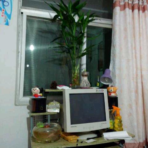 忘了他吧我当和尚养你