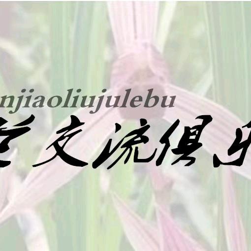 鹤庆名兰交流具乐部