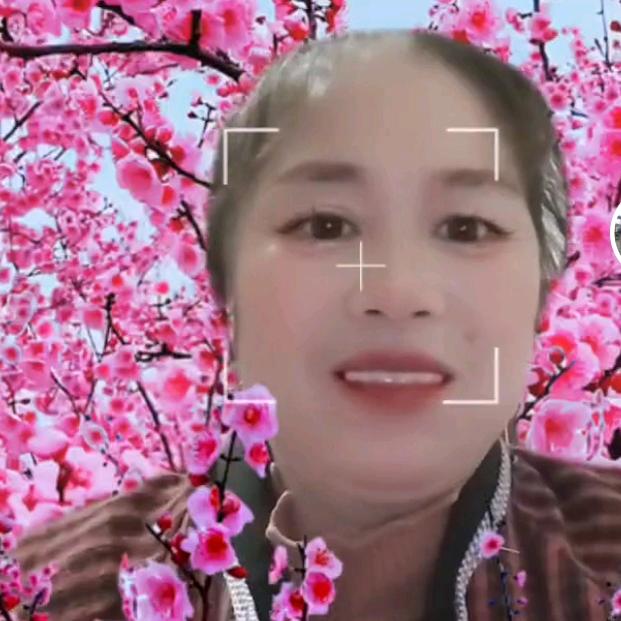 王 春   花
