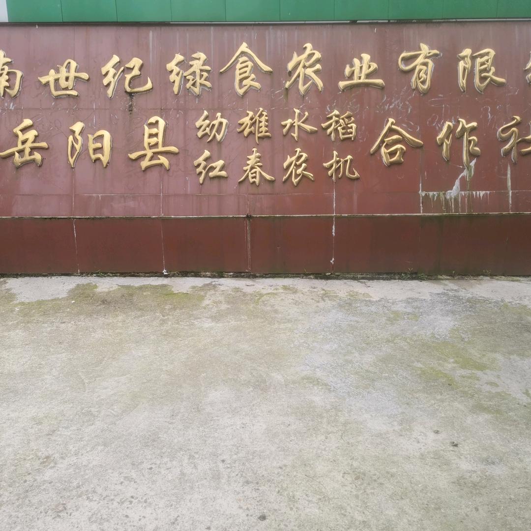 稻可道