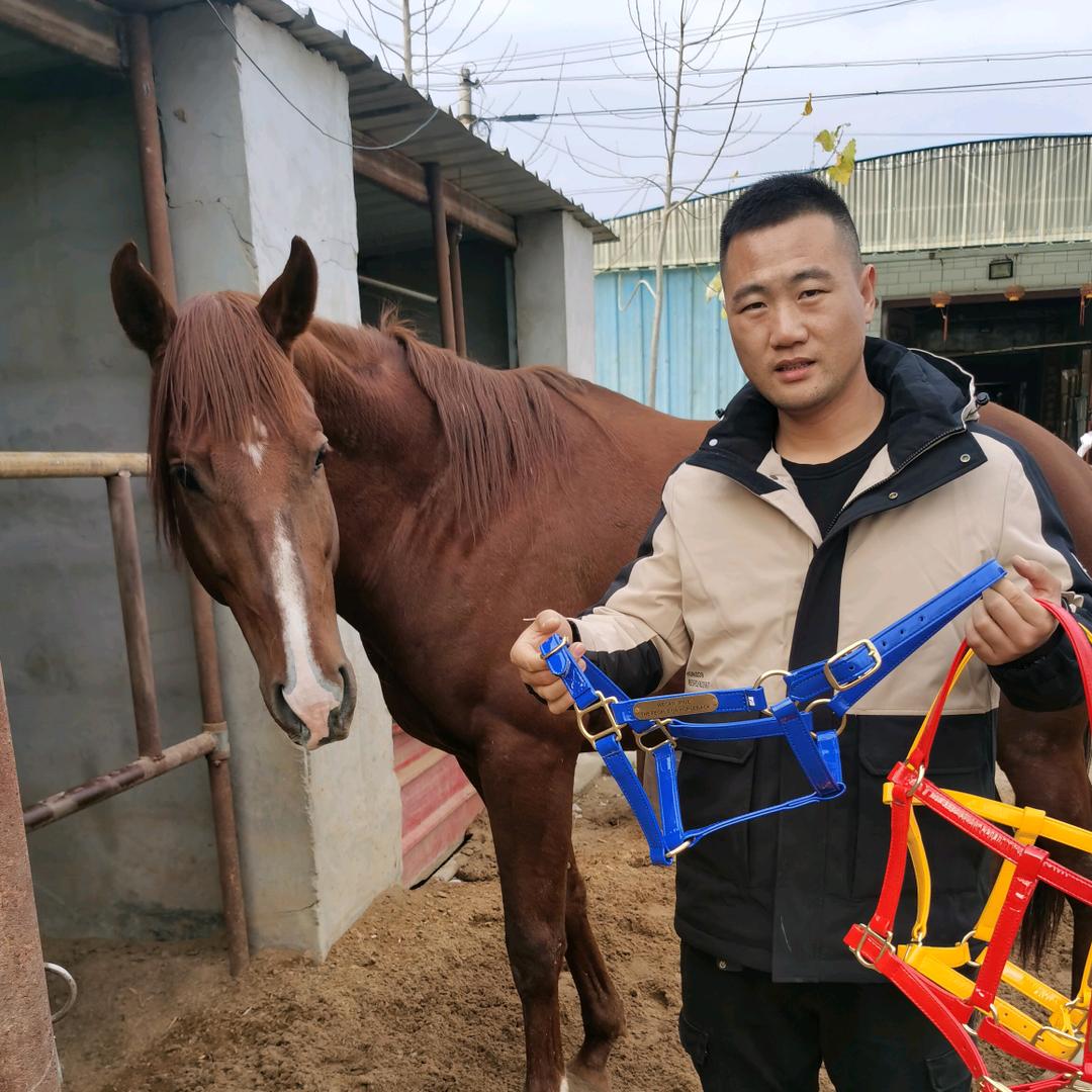 盛唐亚风马鞍马具