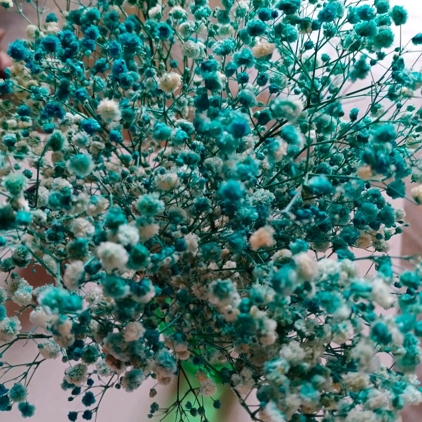 努力拼搏