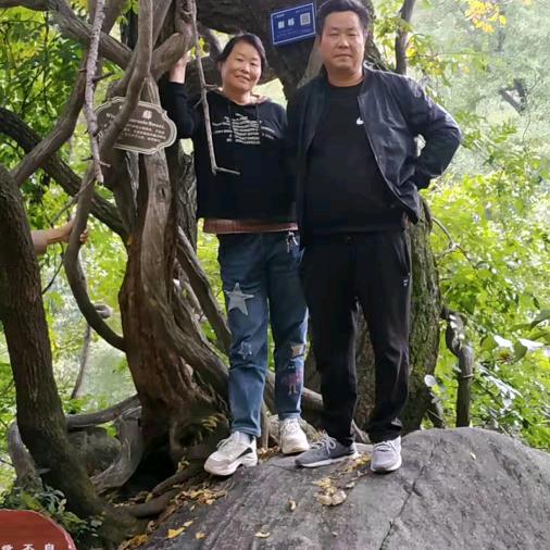 劉头像