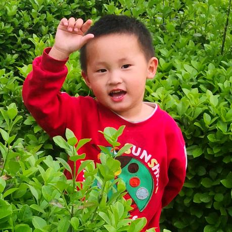 天天乐