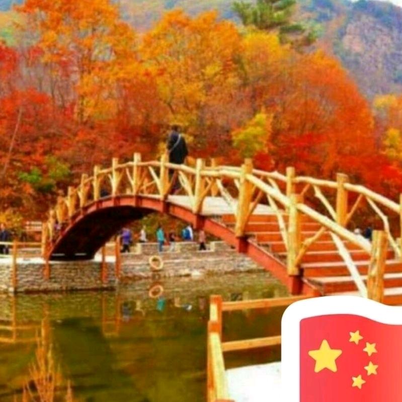 暖阳