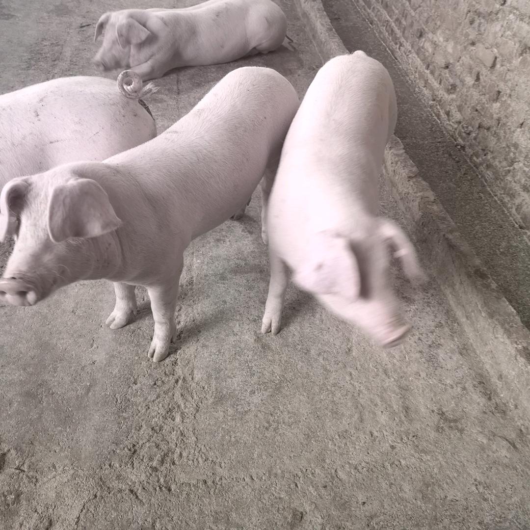 🌹🌹往事清零🌹💔