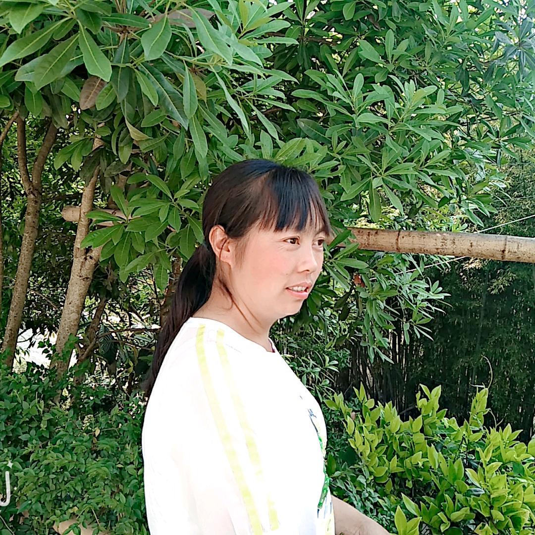 回忆的流年（刘）