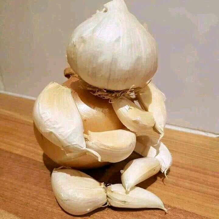 洋葱骑士