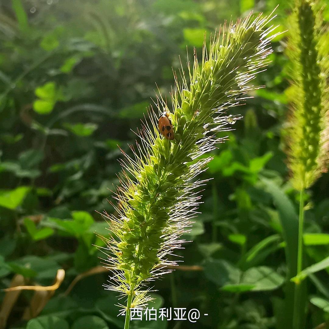 武威市凉州区鑫瑞源茶餐厅