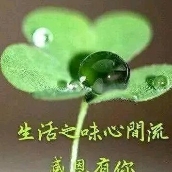 快乐一生186