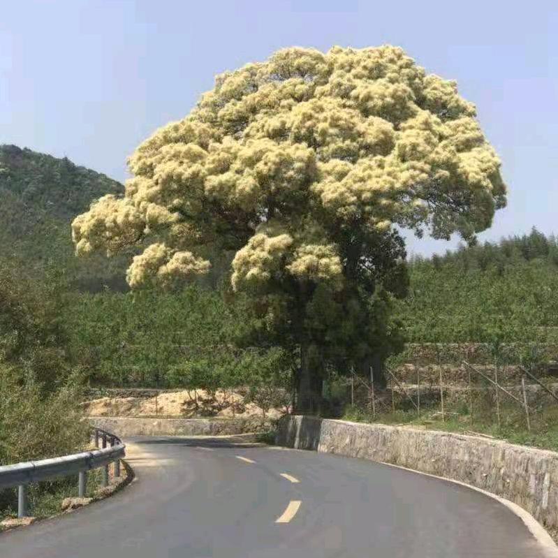 八方来财福自来