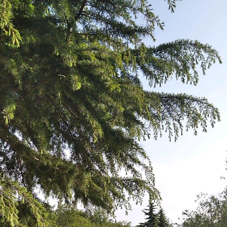 老五彩钢瓦喷漆