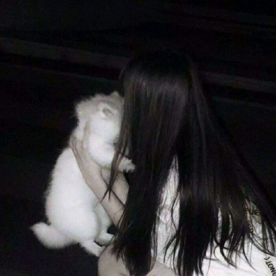 YW.